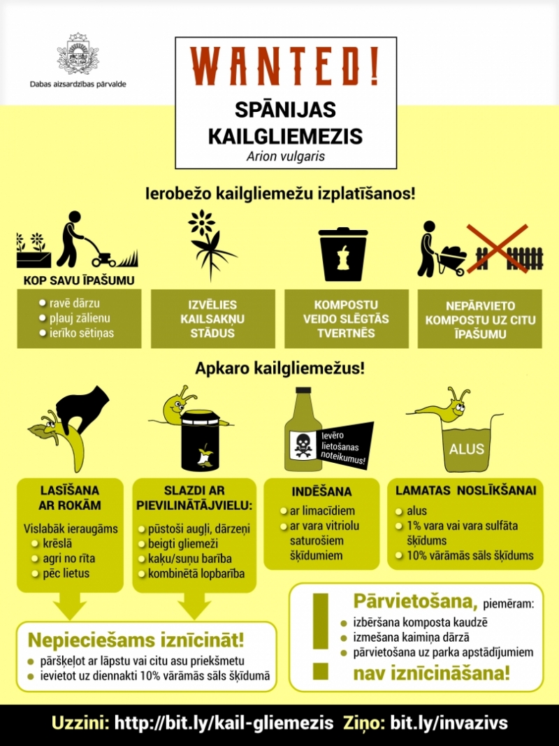 baneris