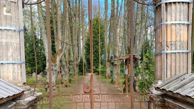 Foto