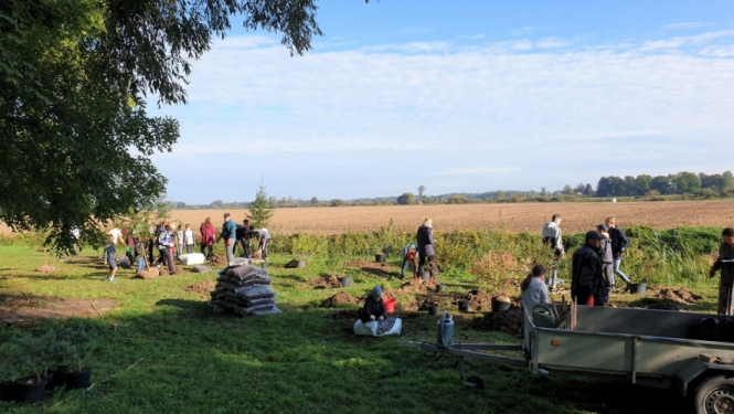 Staļģenes muižas parkā norisinājusies koku un krūmu stādīšanas talka