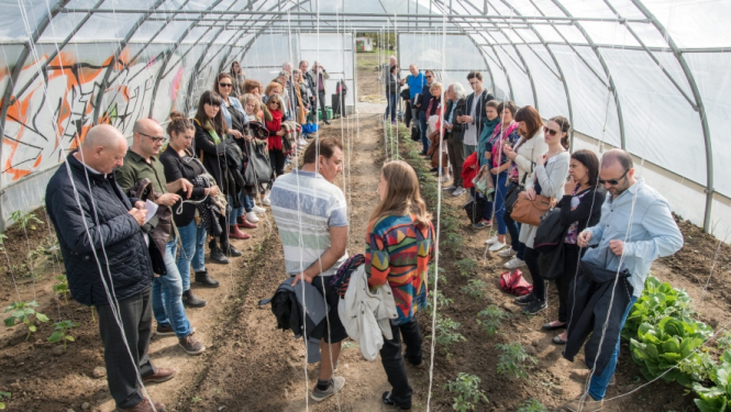AGRI-URBAN projekta tikšanās Zviedrijā – ieskats ilgtspējīgas pārtikas ražošanā un antropozofijā