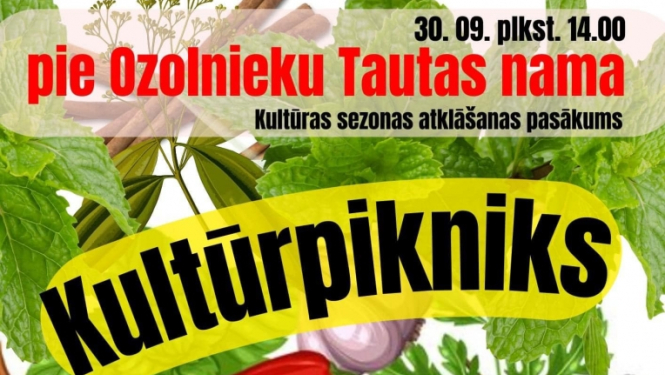 Pie Ozolnieku Tautas nama kultūrpikniks