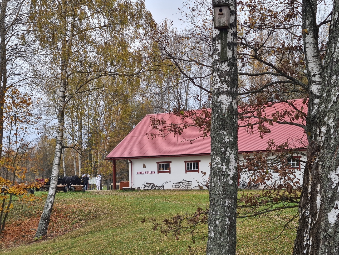 Foto