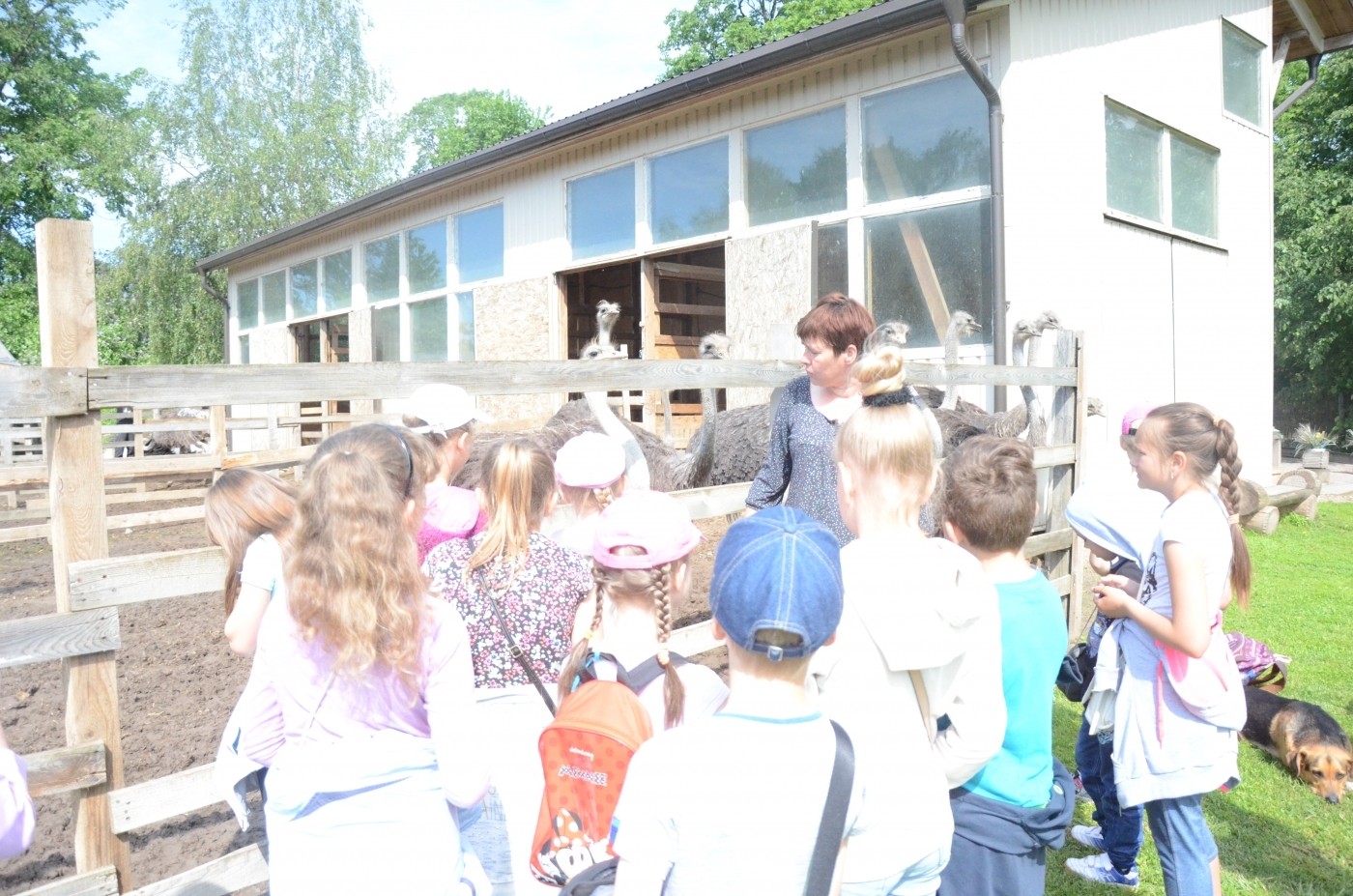 attels2