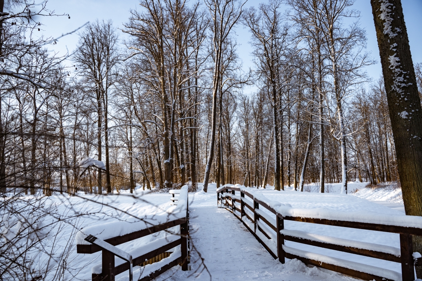 Ziemīgās Jelgavas novada ainavas