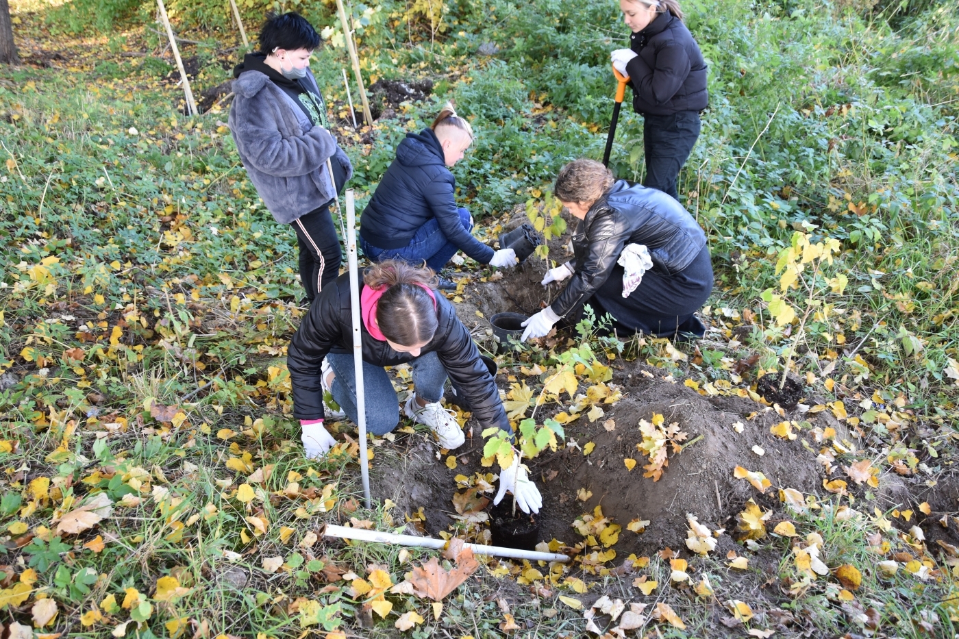 “Meža dienas 2021” Jelgavas novada Staļģenes muižas parkā