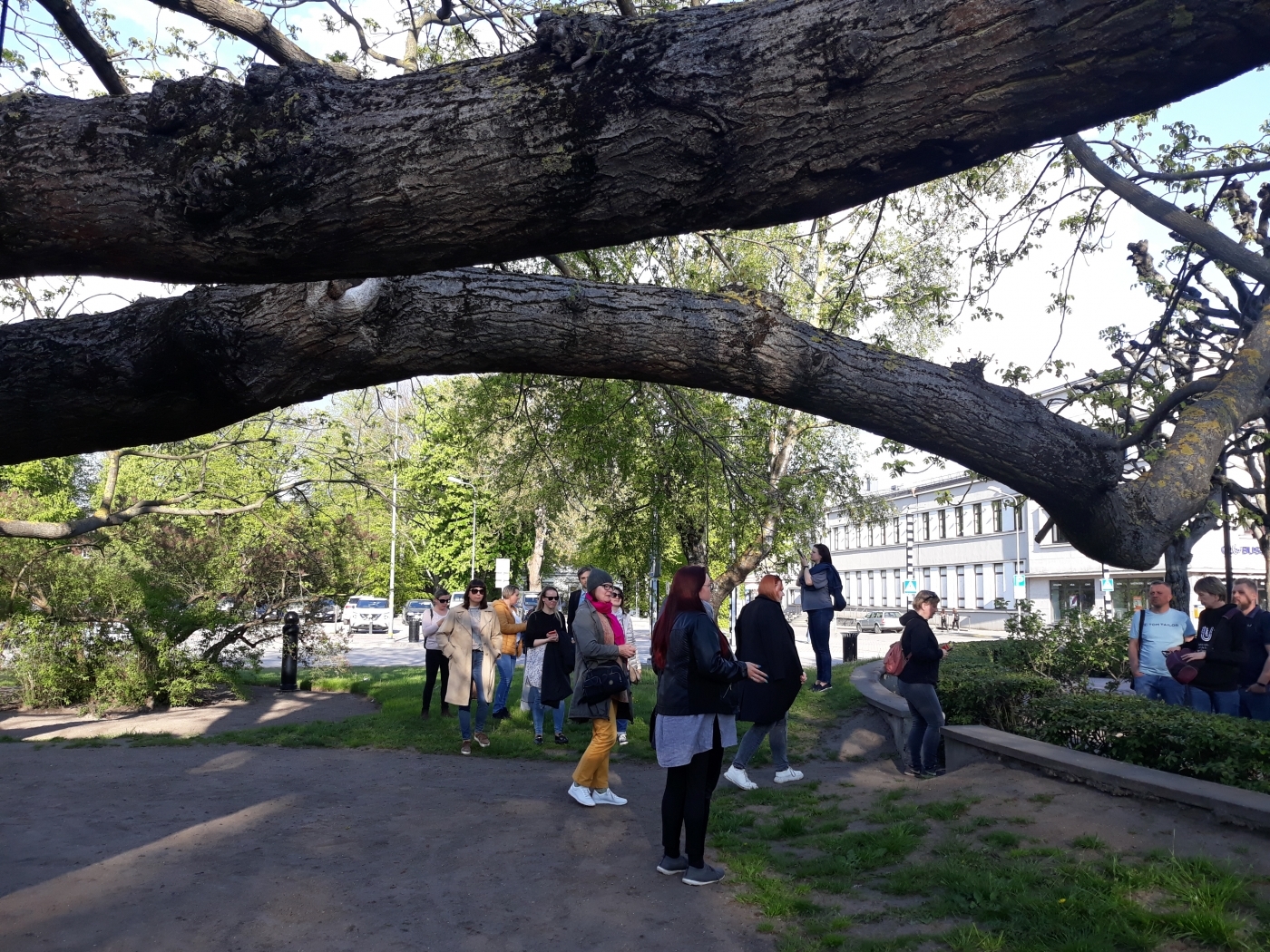 Atziņas un pieredze Kūfalta plānoto parku ekspedīcijas braucienā Lietuvā un Kurzemē