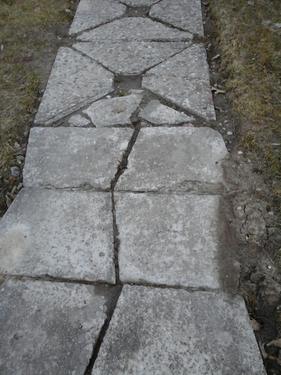 s1_14234.jpg