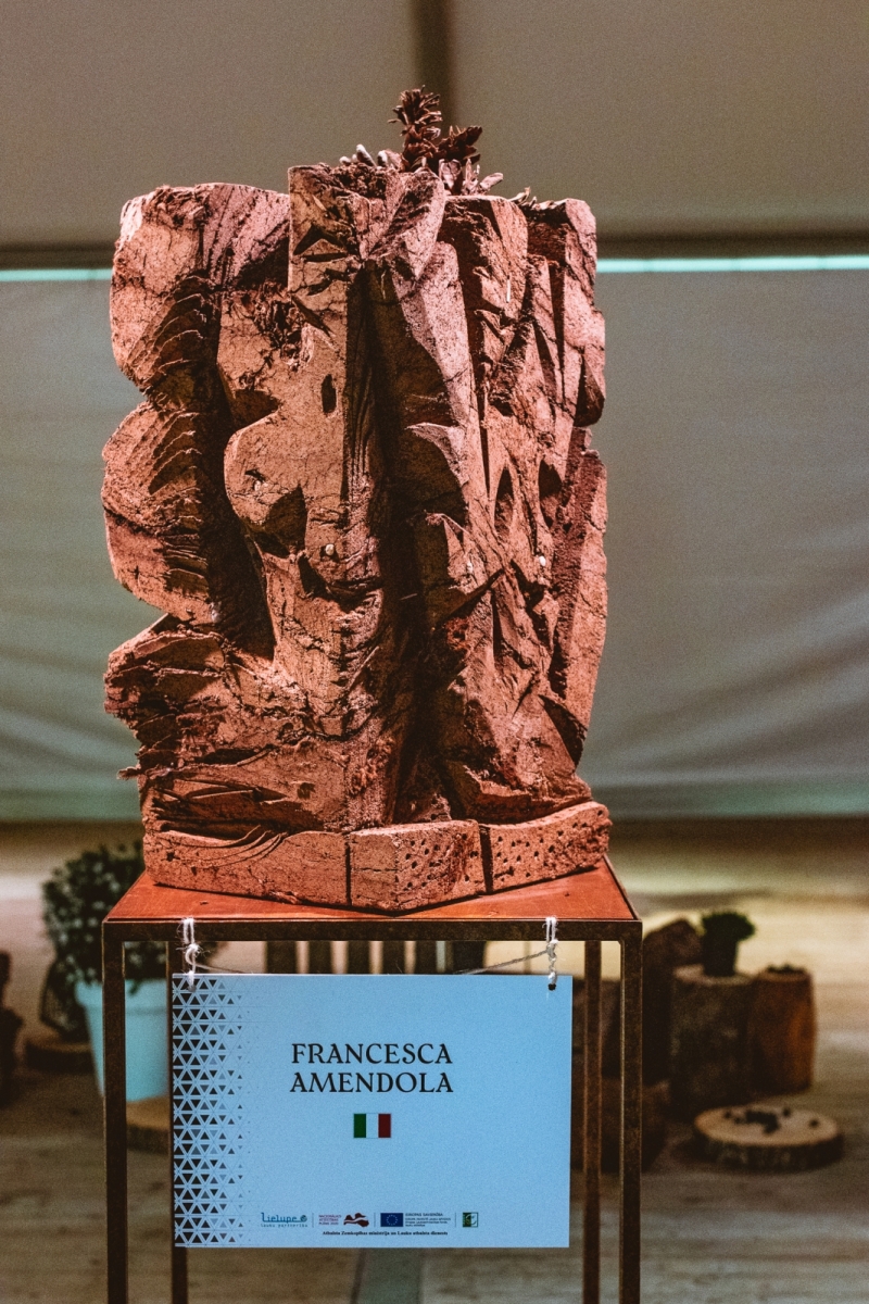 s1_20781.jpg