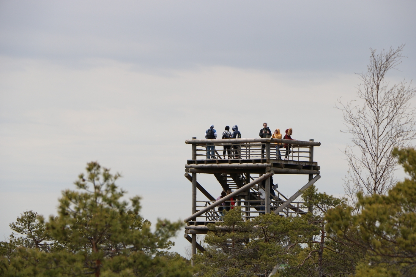 s1_28357.jpg