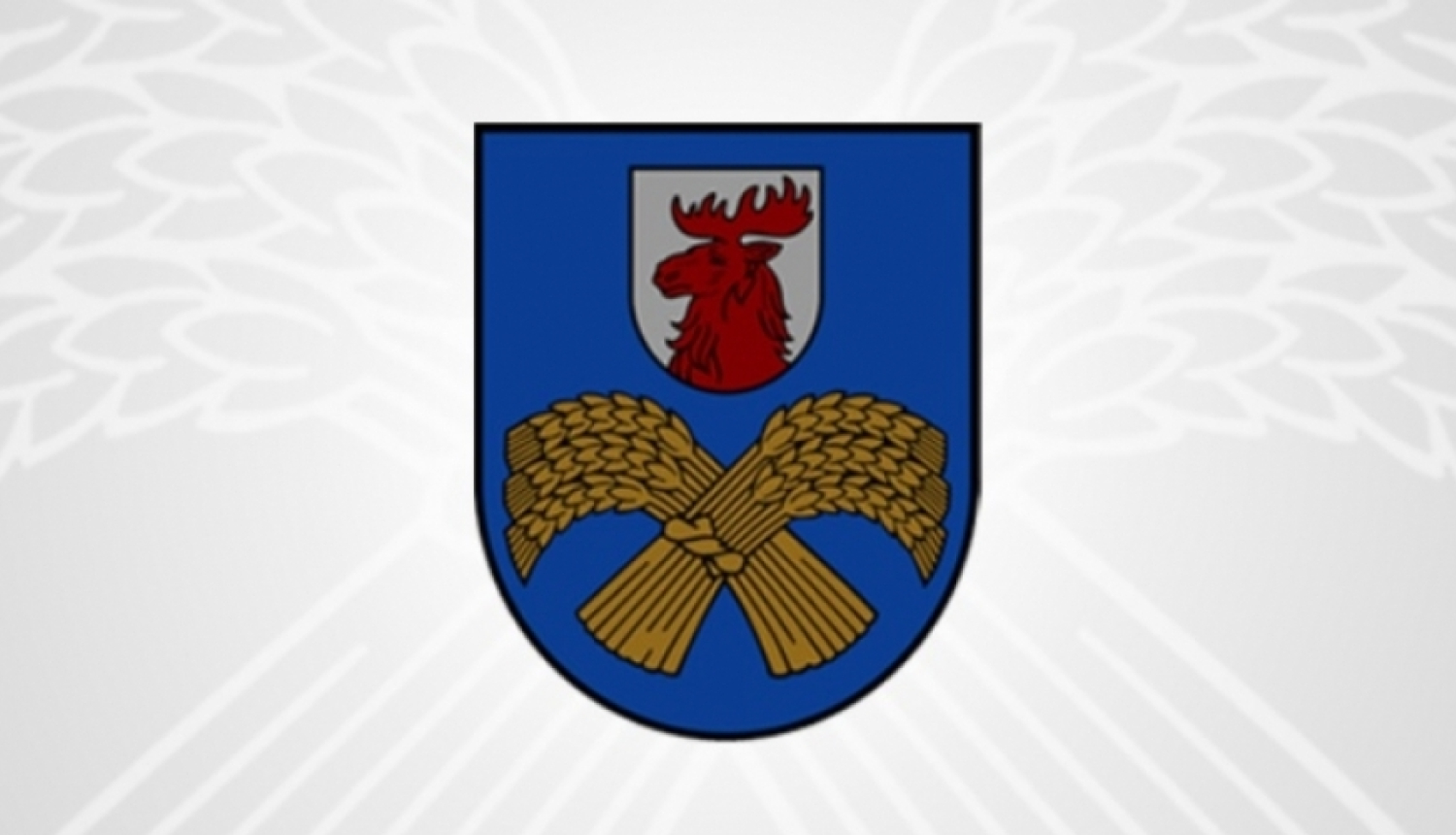 Domes ārkārtas (slēgtā) sēde Nr.14