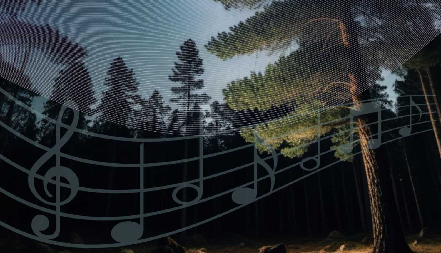 Vīnava_Tikai_Tev
