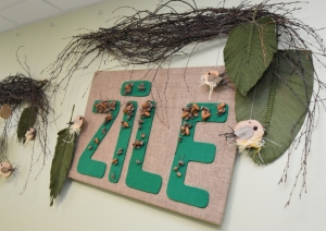 DSCP “Zīle” atzīmē trīs gadu jubileju