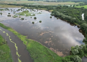 Bioloģiski vērtīga zālāja atjaunošana dabas parkā “Svētes paliene” Līvbērzes pagastā”