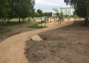 Labiekārtots Cenu pagasta Ānes ciema parks