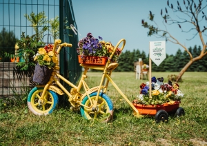 Ziedu parāde Platones skolā