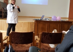 Noticis praktisks seminārs “Garīga rakstura traucējumu ārstēšana un sociālā aprūpe un sociālā rehabilitācija” deinstitucionalizācijas procesa kontekstā