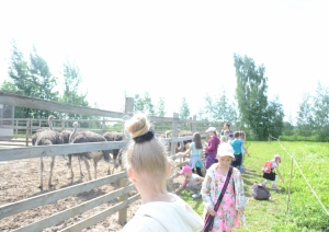 attels2