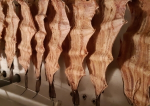Kā tiek risināti nodarbinātības un uzņēmējdarbības jautājumi Somijas mazajās pašvaldībās?