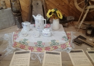 Senioru vasaras skola Zaļeniekos