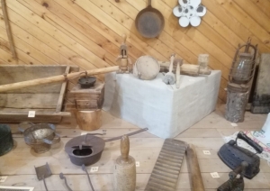 Senioru vasaras skola Zaļeniekos