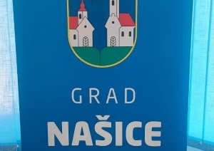 Pilsētas logo