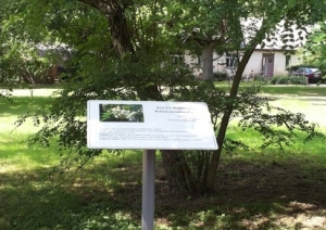 attels2