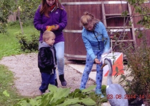 attels2