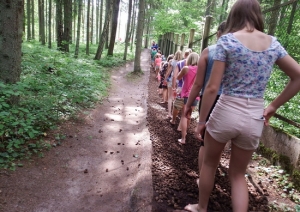 attels2