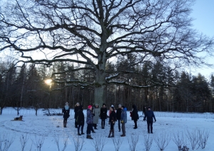 s1_11807.jpg