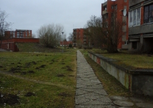 s1_14232.jpg