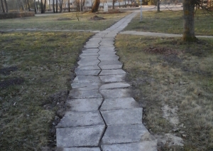 s1_14233.jpg