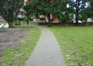 s1_14242.jpg