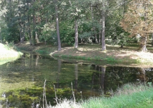 s1_15270.jpg