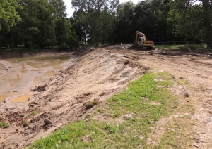 s1_15274.jpg