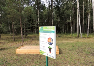 s1_15286.jpg