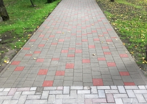 s1_15523.jpg