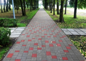 s1_15524.jpg