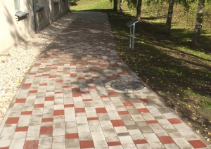 s1_15535.jpg