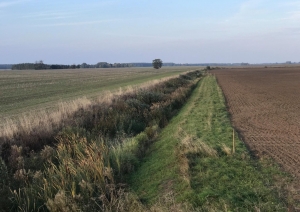 s1_15663.jpg