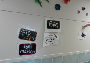 s1_17261.jpg