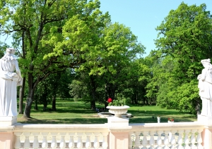 s1_20824.jpg