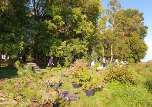 s1_25205.jpg
