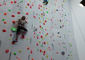 s1_28299.jpg