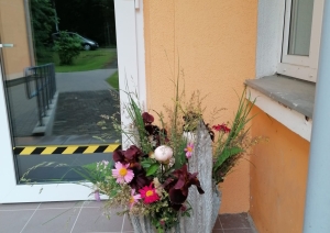 s1_29174.jpg