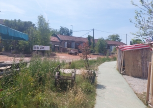 s1_29309.jpg