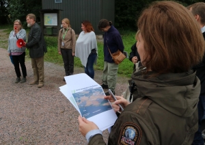 s1_9465.jpg