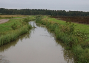 s1_9467.jpg
