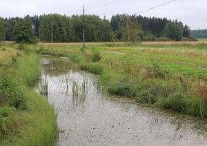 s1_9468.jpg