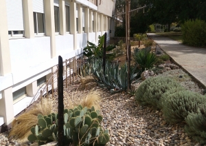 s1_9776.jpg