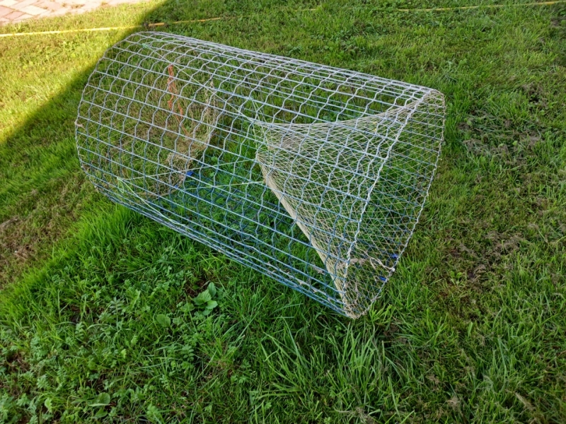 nelikumīgs zvejas murds